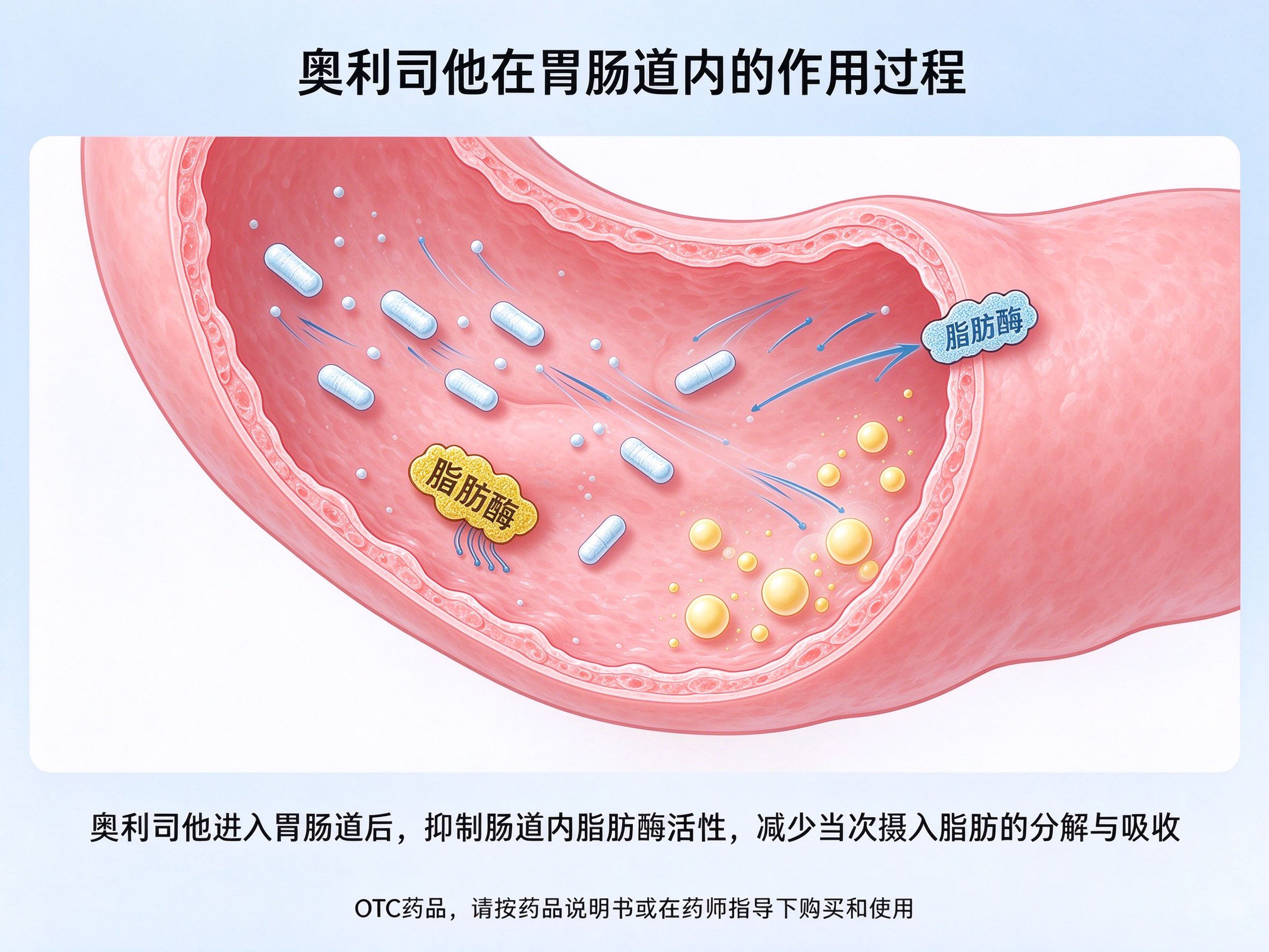 上班族减脂,久坐懒人减脂,奥利司他控重,职场减脂技巧,赛乐赛1对1指导